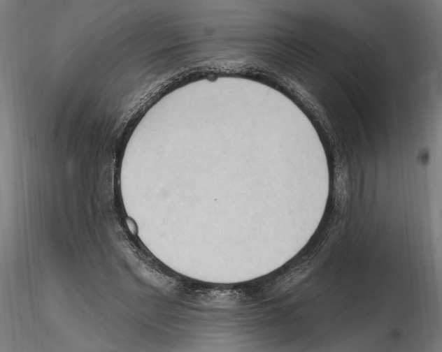 X0000116510493201001061226