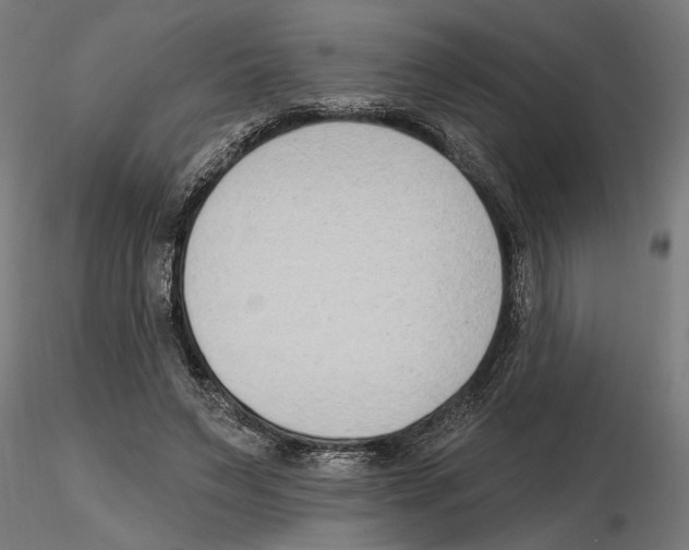 X0000116510495201001061226