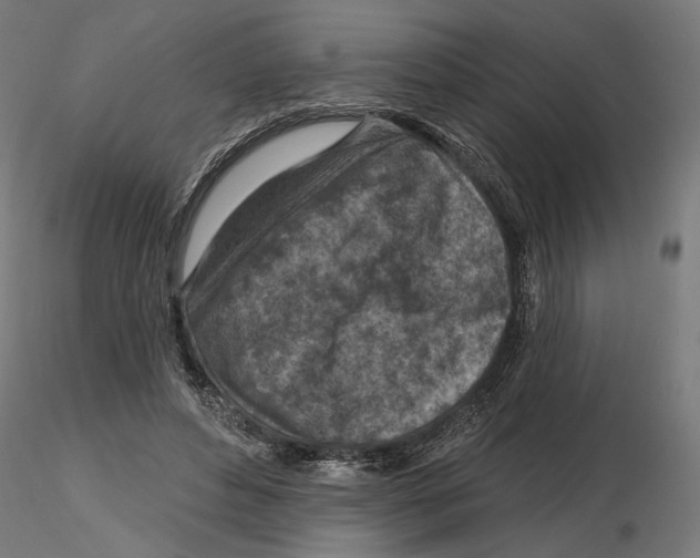X0000116510496201001061226