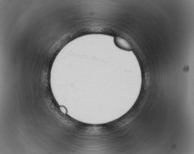 X0000116510497201001061226