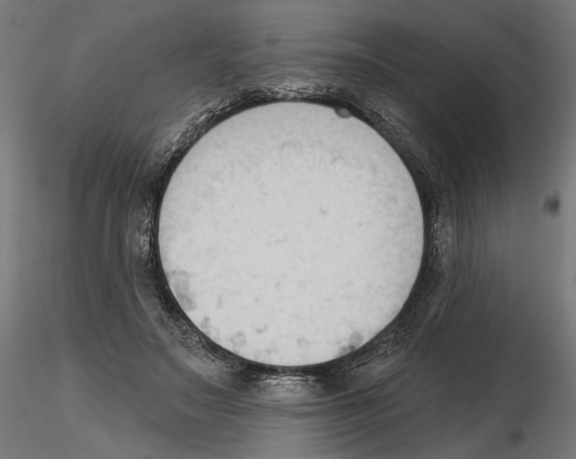 X0000116510499201001061226
