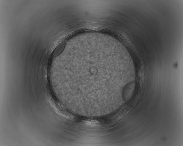 X0000116510500201001061226