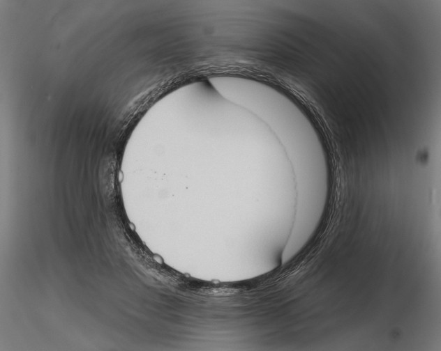 X0000116510501201001061226