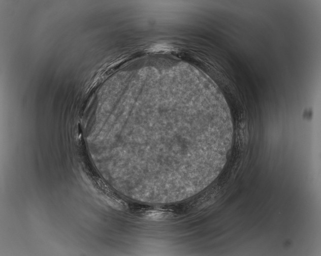 X0000116510504201001061226