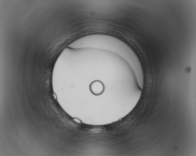 X0000116510505201001061226