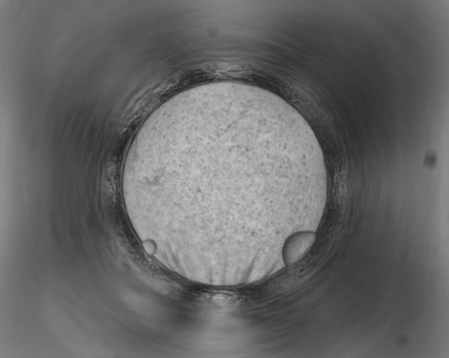 X0000116510506201001061226