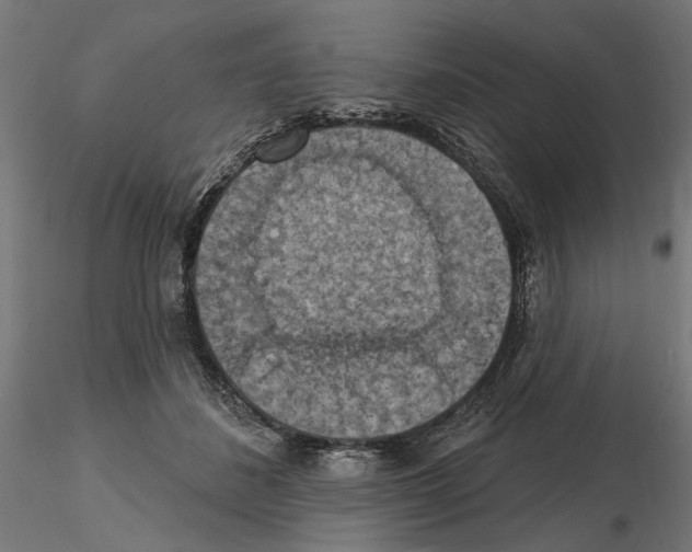 X0000116510508201001061226