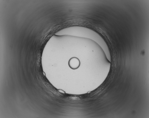 X0000116510509201001061226