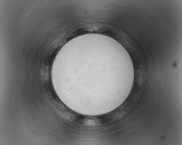 X0000116510510201001061226