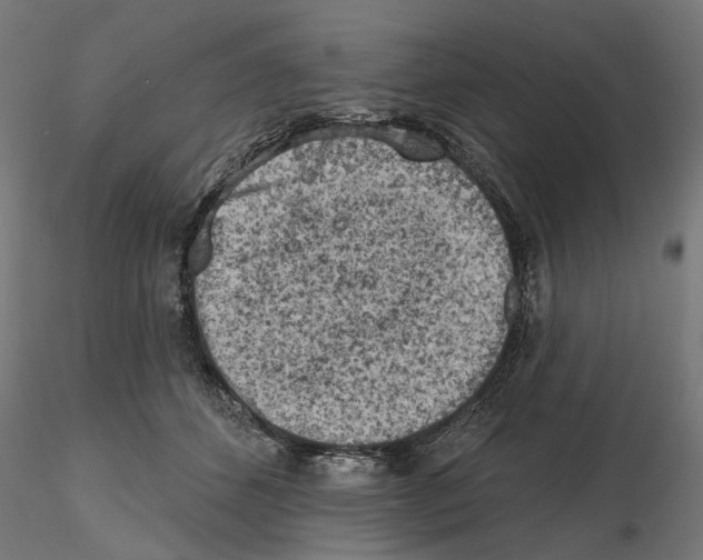 X0000116510512201001061226