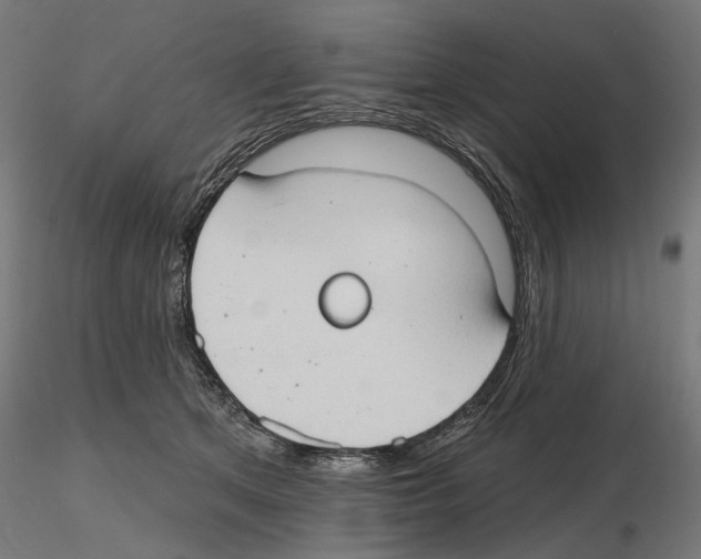X0000116510513201001061226