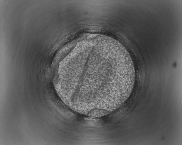 X0000116510516201001061226