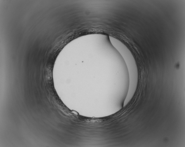 X0000116510517201001061226