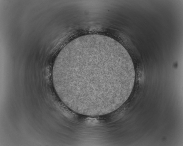 X0000116510519201001061226