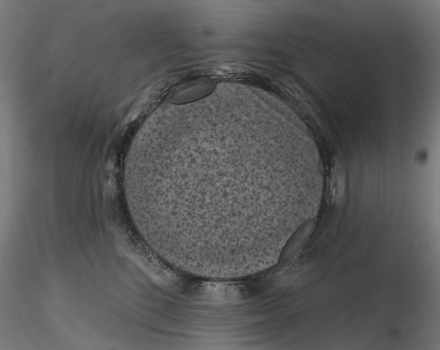 X0000116510520201001061226