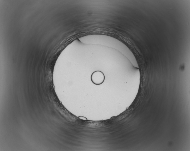 X0000116510521201001061226