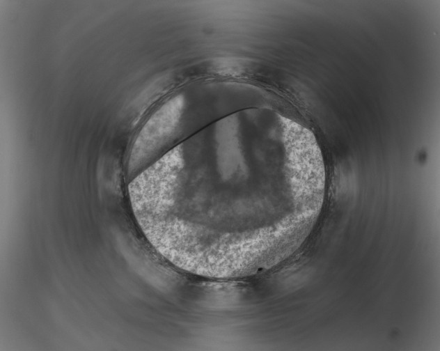 X0000116510524201001061226