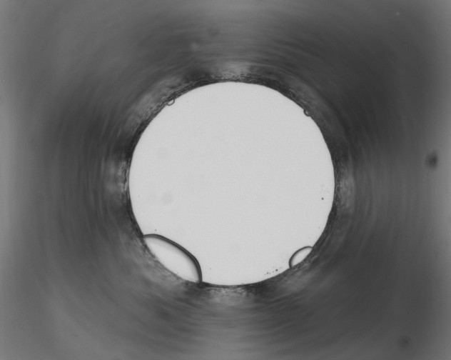 X0000116510525201001061225