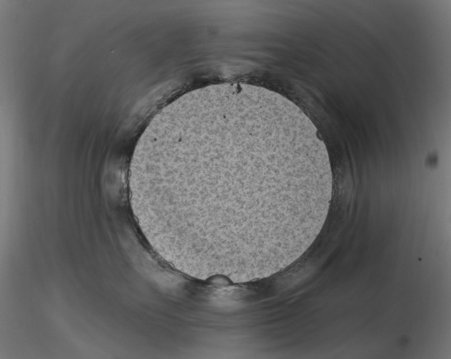 X0000116510527201001061225