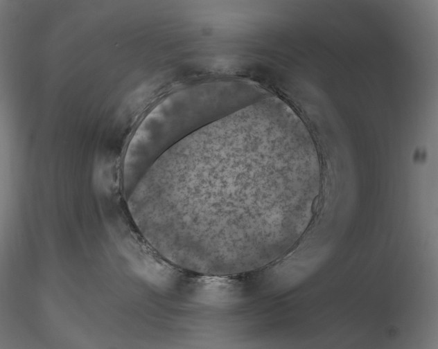 X0000116510528201001061225