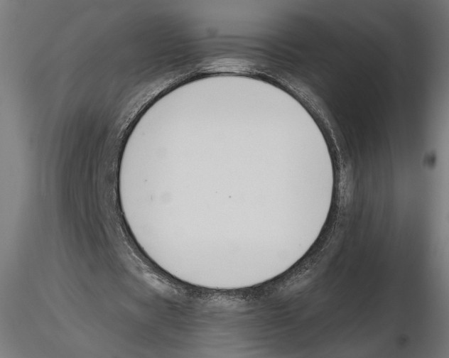X0000116510529201001061225
