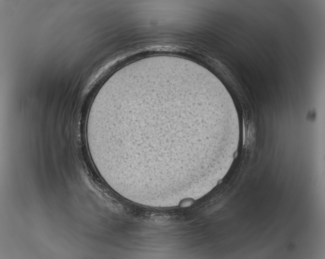 X0000116510531201001061225