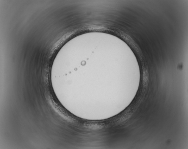 X0000116510533201001061225