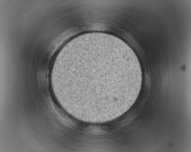 X0000116510534201001061225