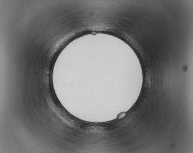 X0000116510535201001061225