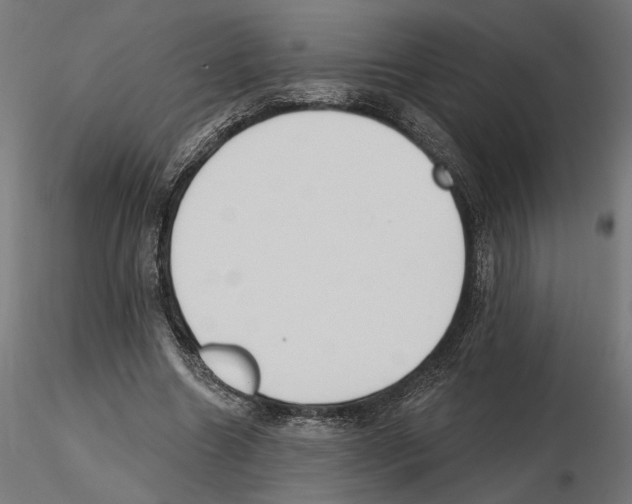 X0000116510538201001061225