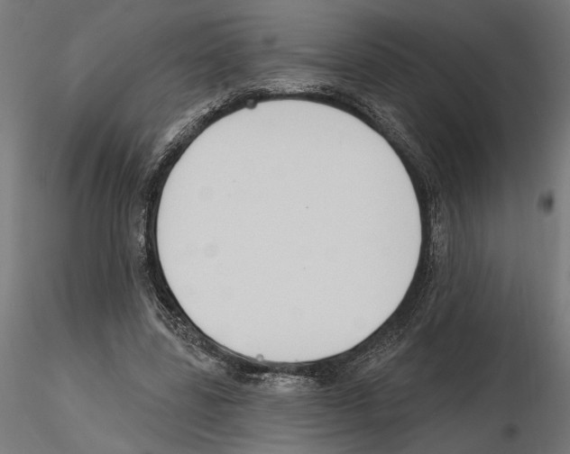 X0000116510539201001061225