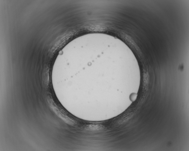 X0000116510541201001061225
