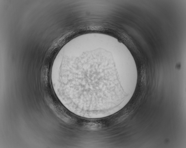 X0000116510542201001061225
