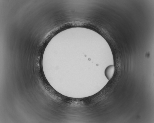 X0000116510543201001061225