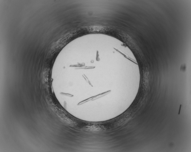 X0000116510545201001061225