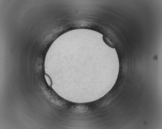 X0000116510546201001061225