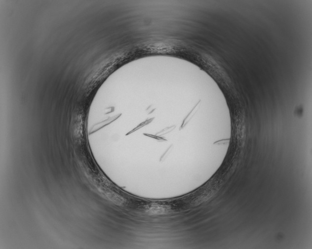 X0000116510549201001061225