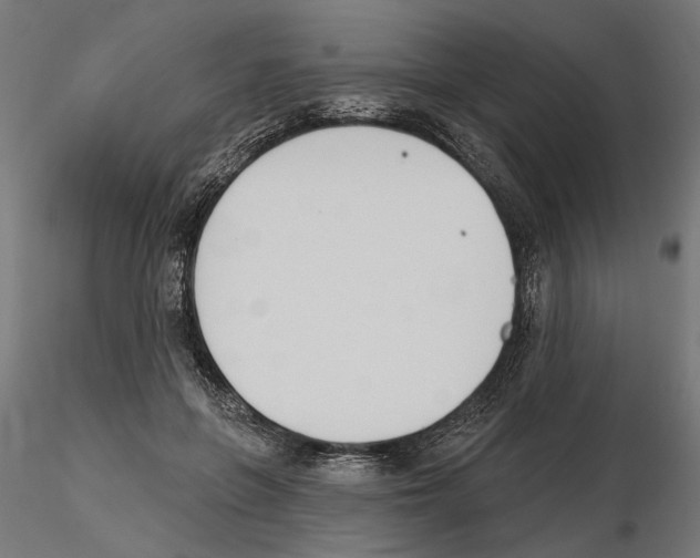 X0000116510551201001061225