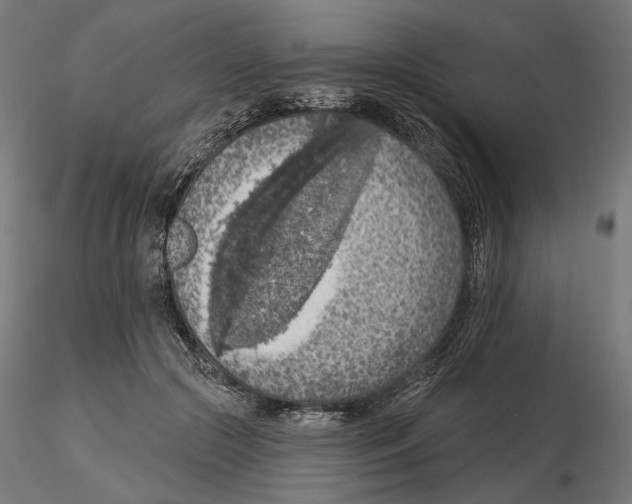 X0000116510553201001061225