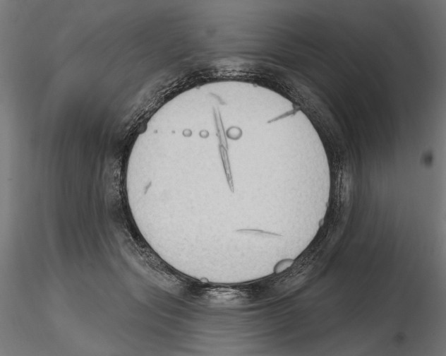 X0000116510557201001061225