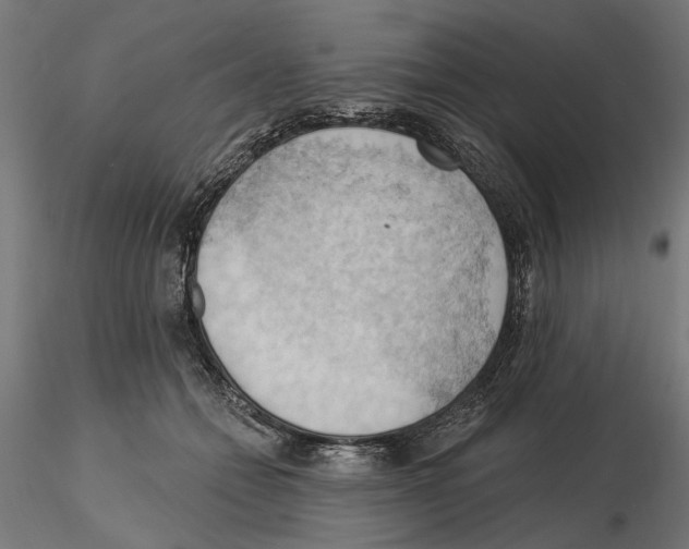X0000116510558201001061225