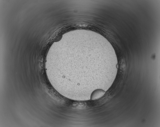 X0000116510559201001061225