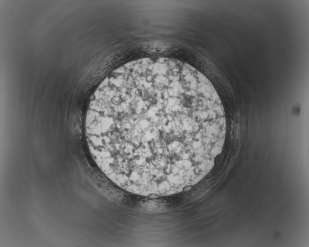 X0000116510561201001061225