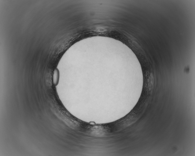 X0000116510562201001061225