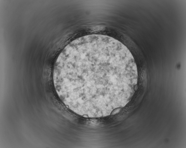 X0000116510565201001061225