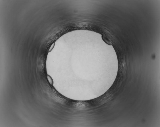 X0000116510566201001061225