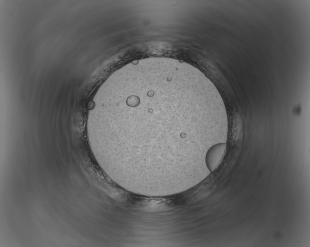 X0000116510569201001061225