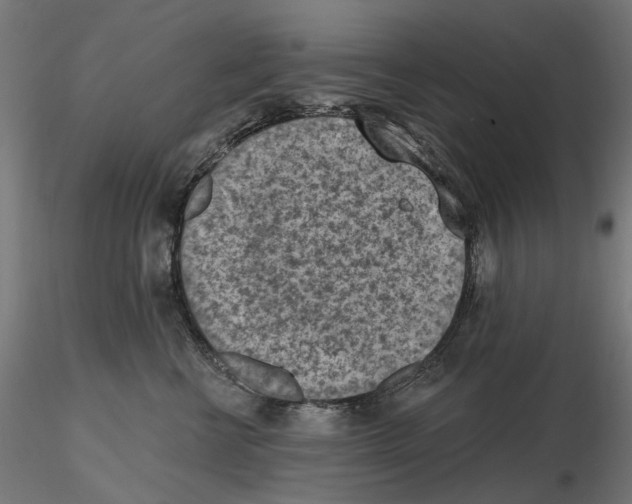 X0000116510570201001061225