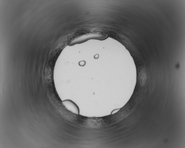 X0000116510571201001061225