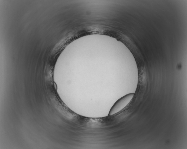 X0000116510573201001061225